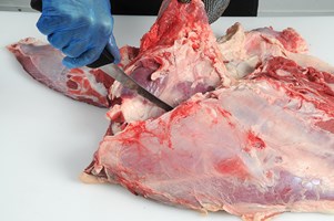 Clod Flat Muscle Steaks Meat Cut Spec Step 1